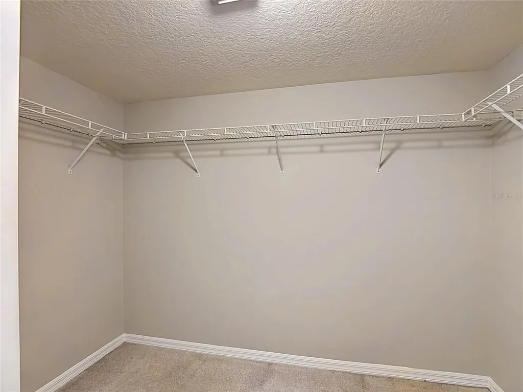 1521 Baythorn Drive Wesley Chapel FL 33543