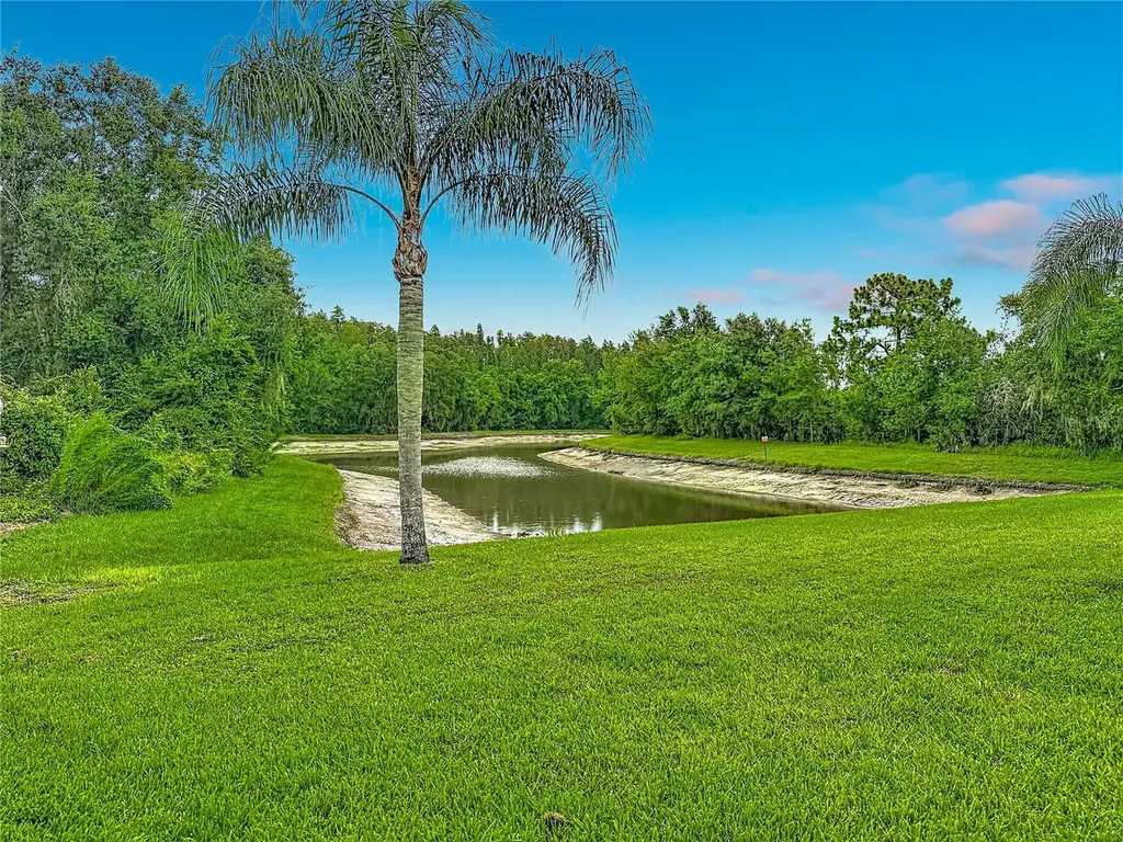 1521 Baythorn Drive Wesley Chapel FL 33543