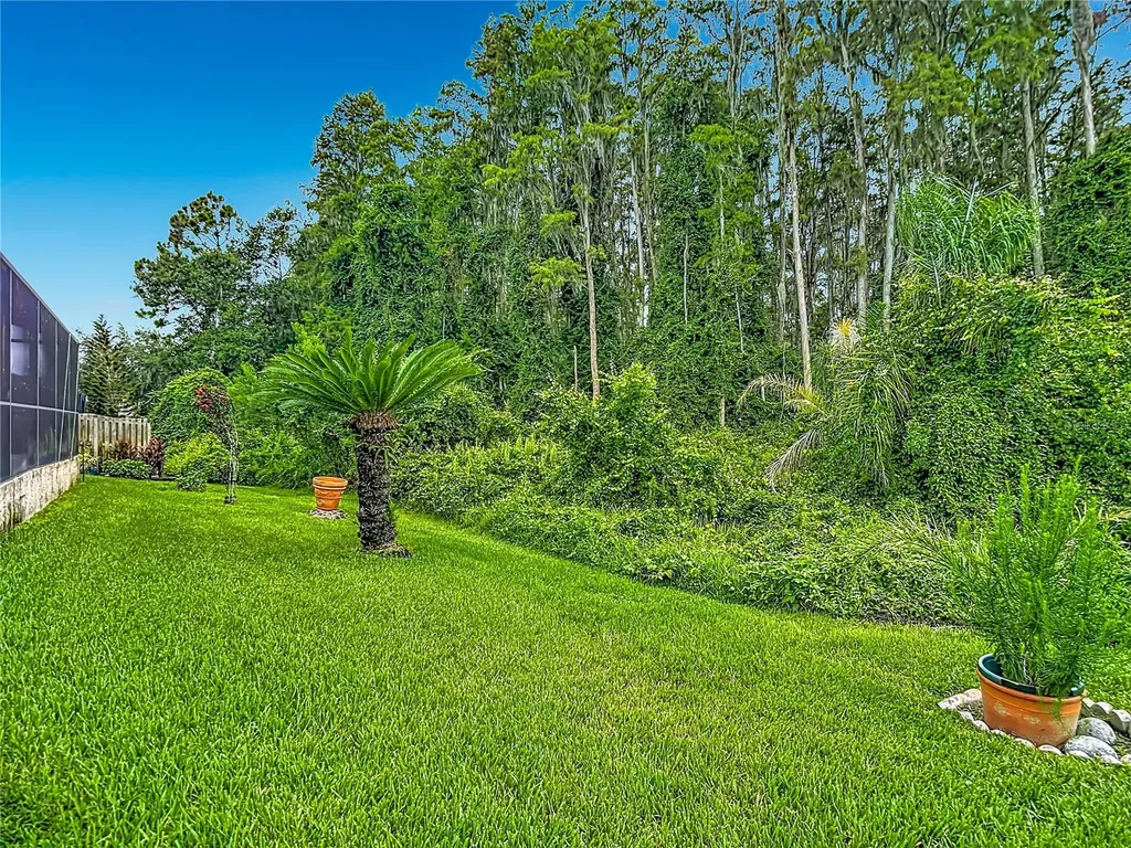 1521 Baythorn Drive Wesley Chapel FL 33543
