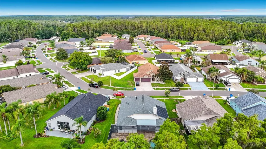 1521 Baythorn Drive Wesley Chapel FL 33543