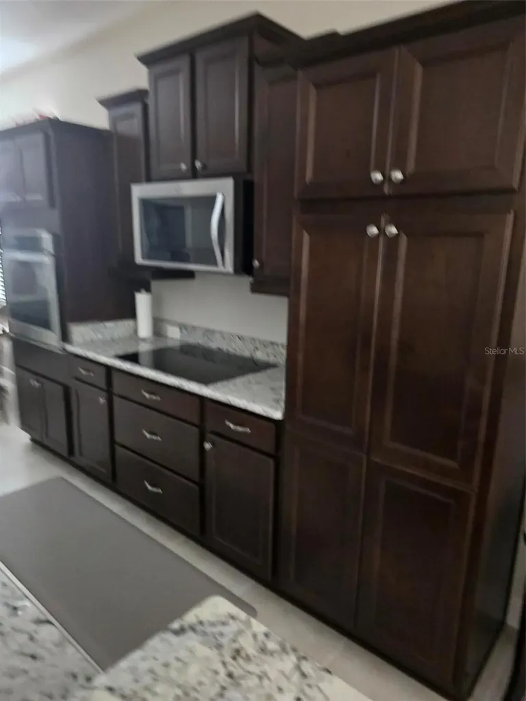 3452 Bosie Run The Villages FL 32163