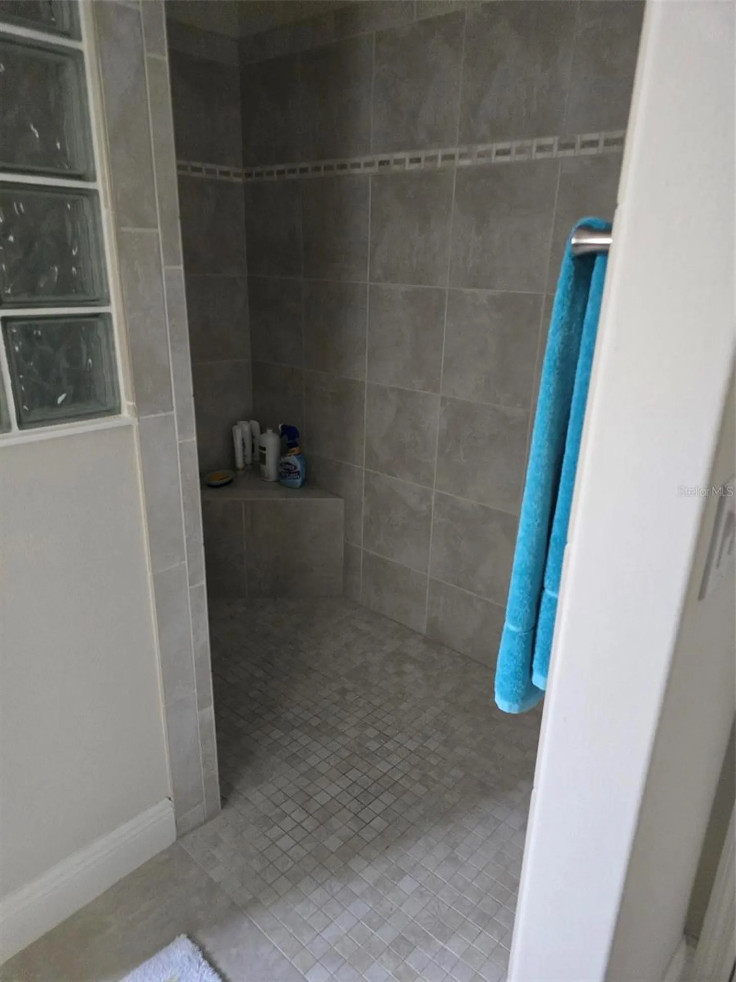 3452 Bosie Run The Villages FL 32163