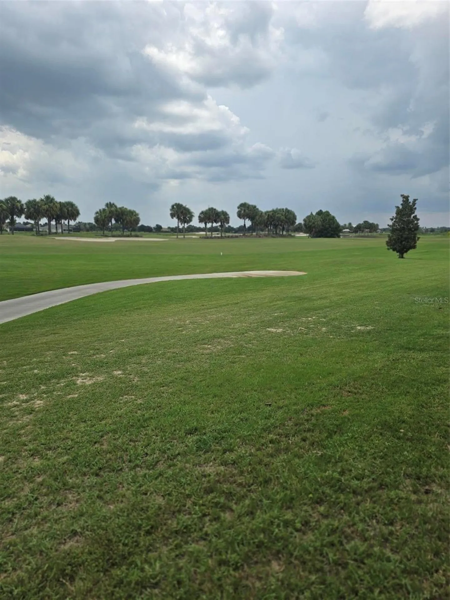 3452 Bosie Run The Villages FL 32163