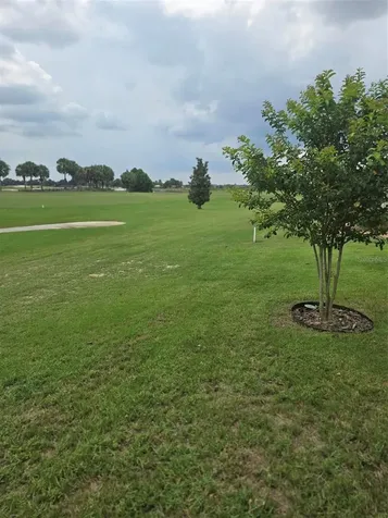 3452 Bosie Run The Villages FL 32163