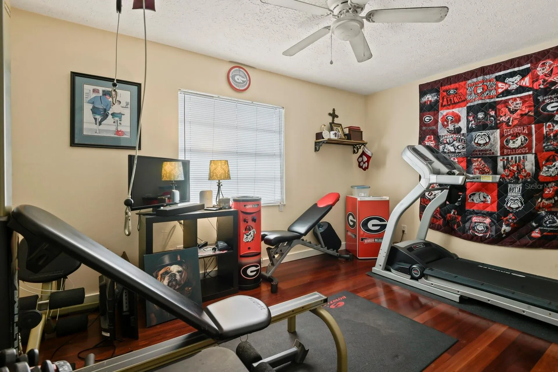 744 Flamingo Drive Apollo Beach FL 33572