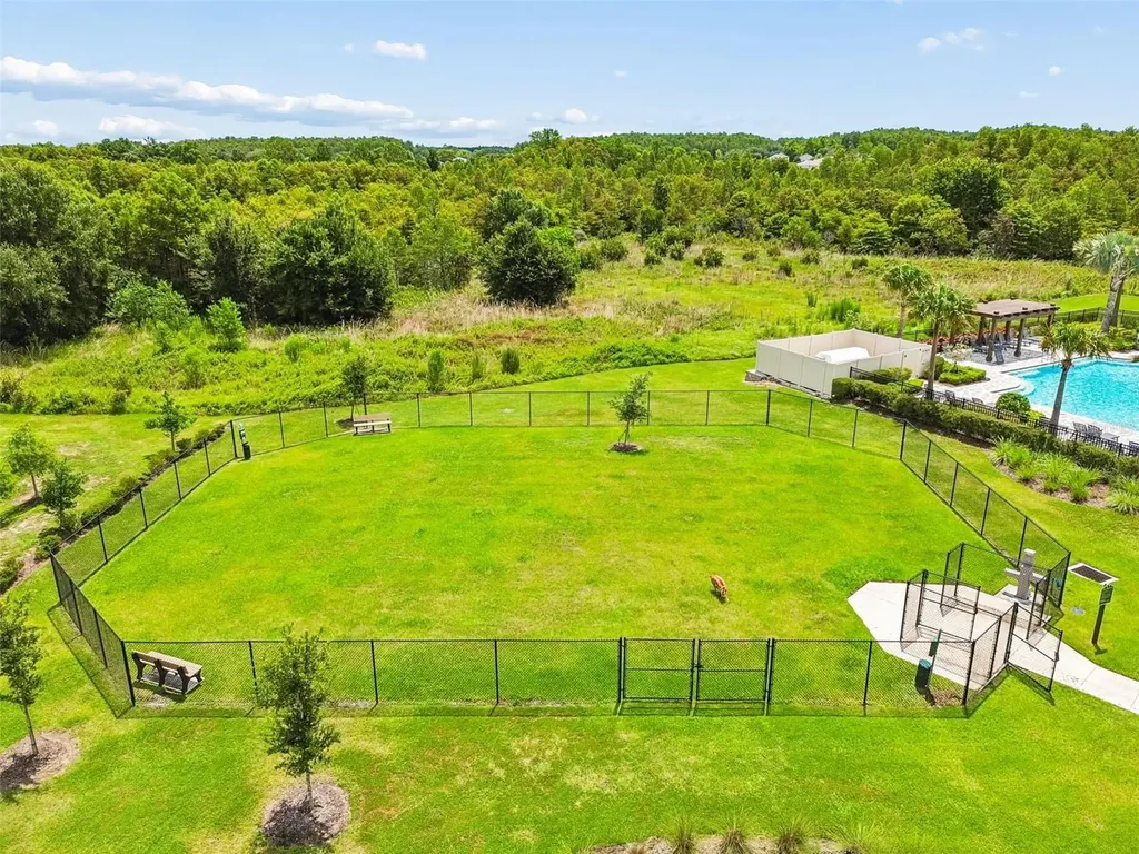 17245 Amber Aspen Way Land O Lakes FL 34638