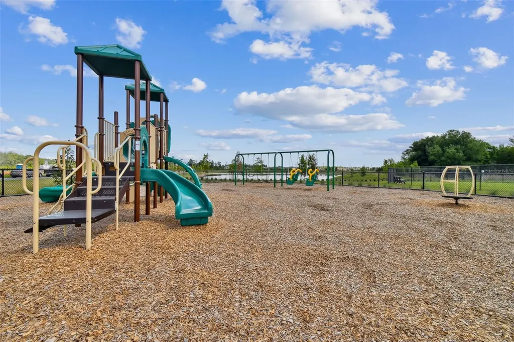 17245 Amber Aspen Way Land O Lakes FL 34638