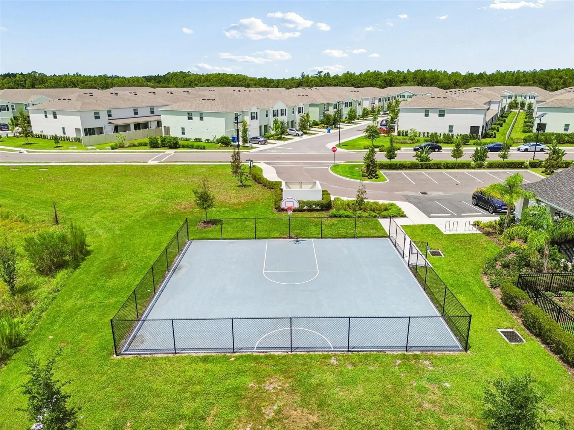 17245 Amber Aspen Way Land O Lakes FL 34638