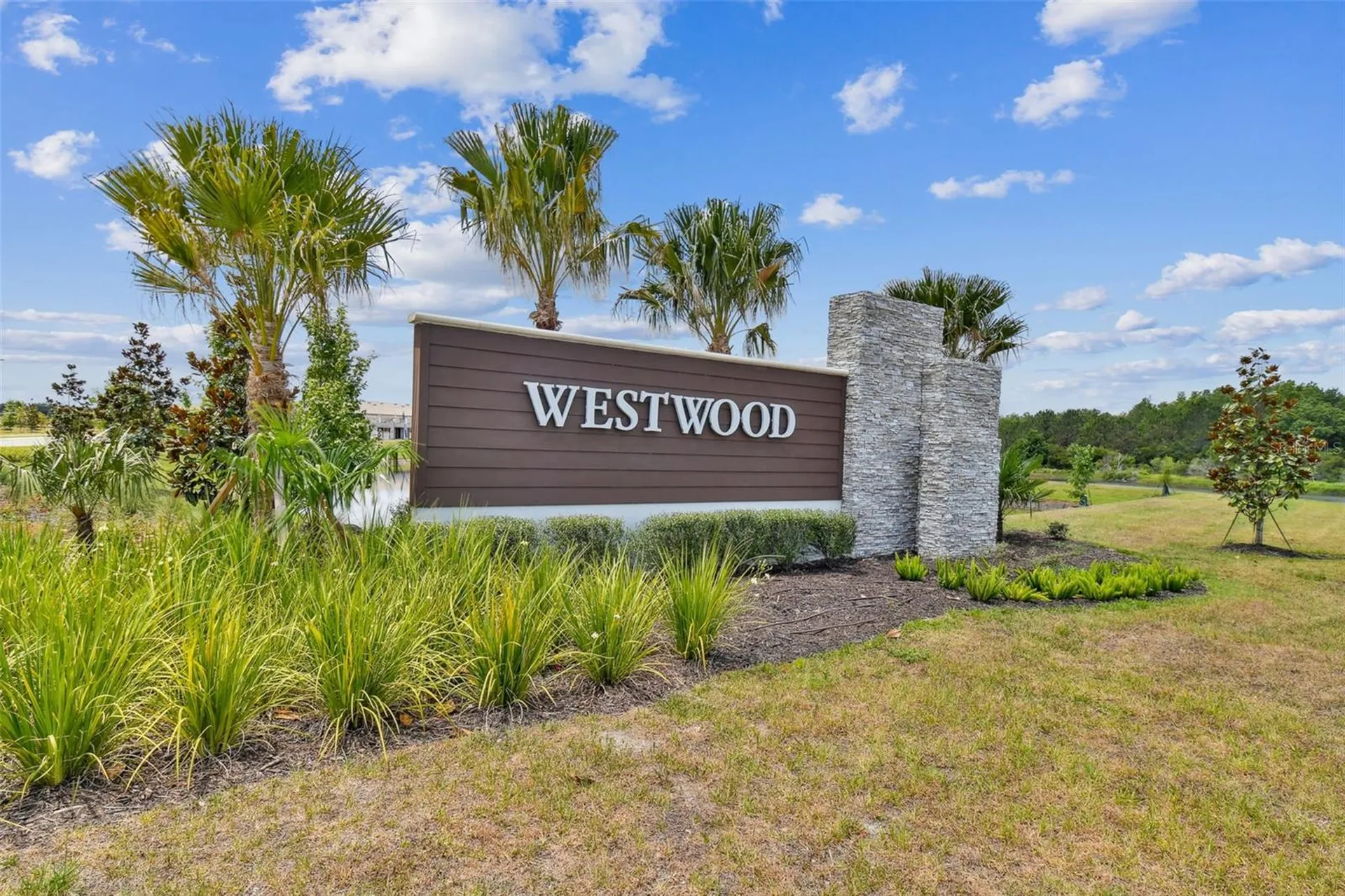 17245 Amber Aspen Way Land O Lakes FL 34638