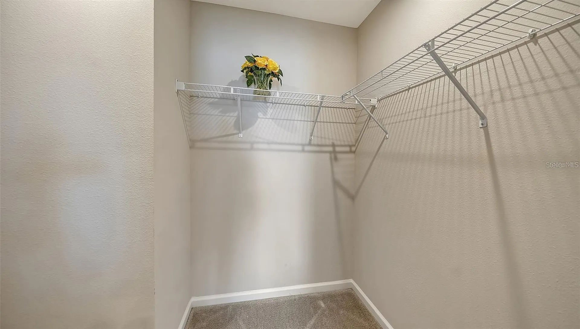 14244 Crimson Avenue Bradenton FL 34211