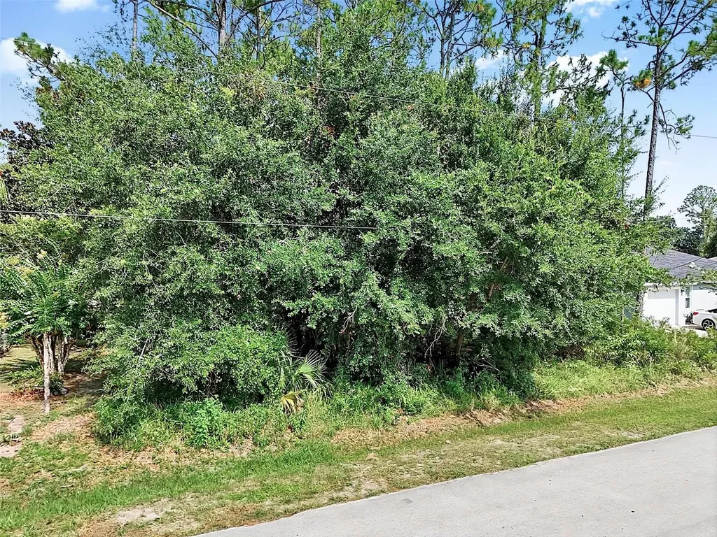 30 Wellwood Lane Palm Coast FL 32164