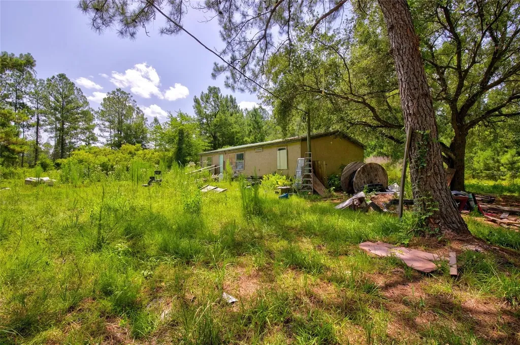 7320 NE 137th Place Citra FL 32113
