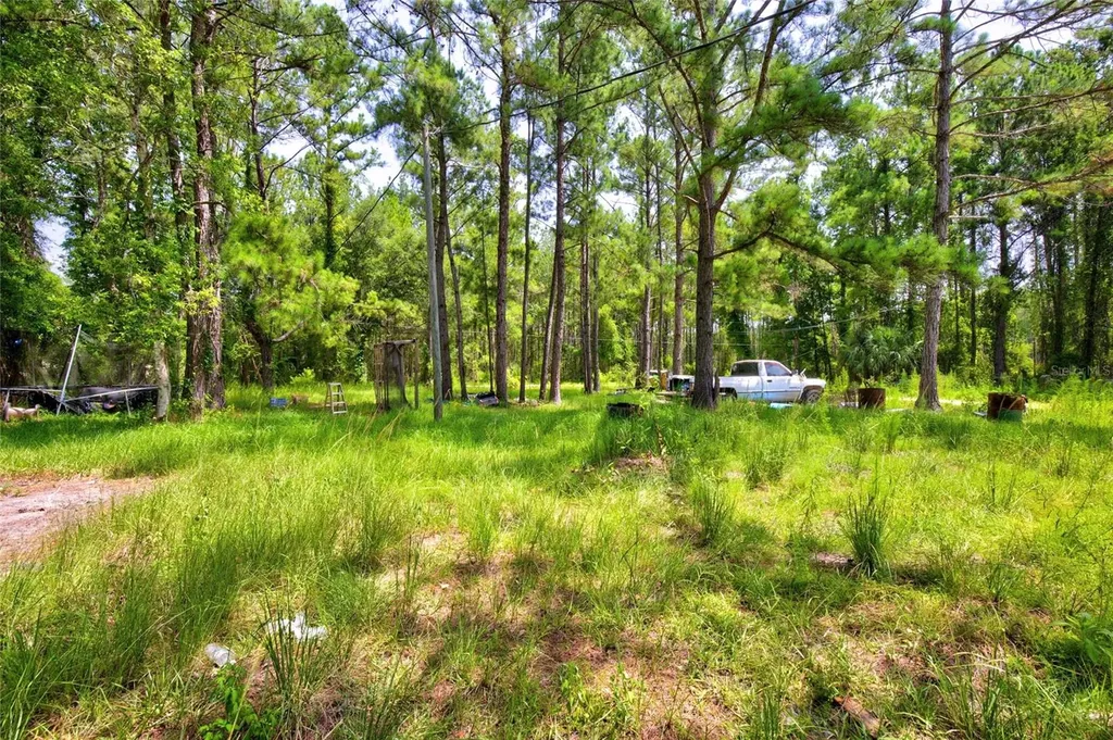 7320 NE 137th Place Citra FL 32113