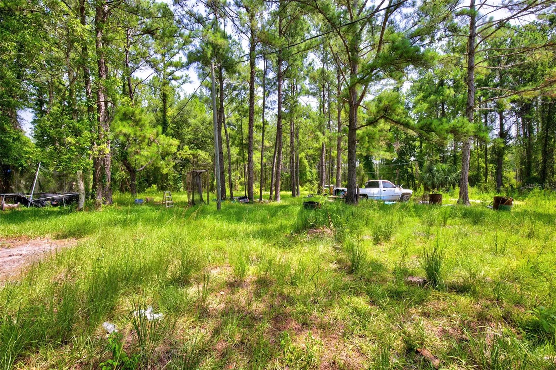 7320 NE 137th Place Citra FL 32113