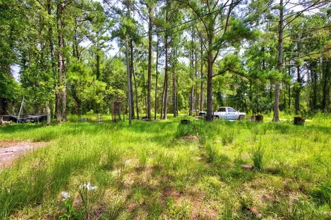 7320 NE 137th Place Citra FL 32113