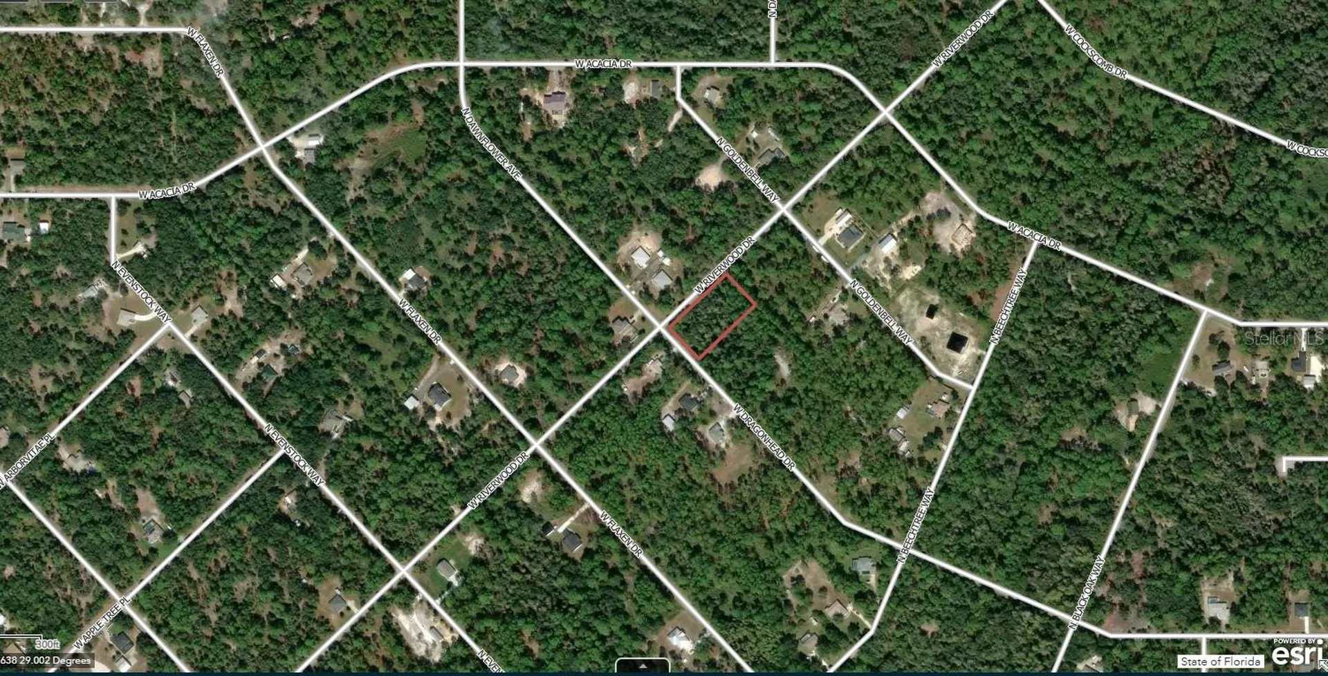11645 W Dragonhead Drive Crystal River FL 34428