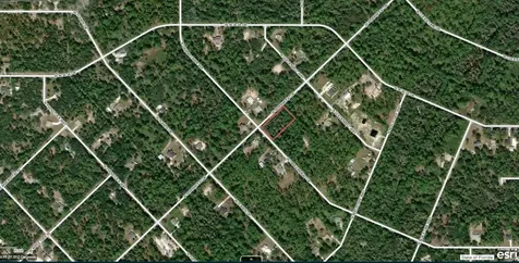11645 W Dragonhead Drive Crystal River FL 34428