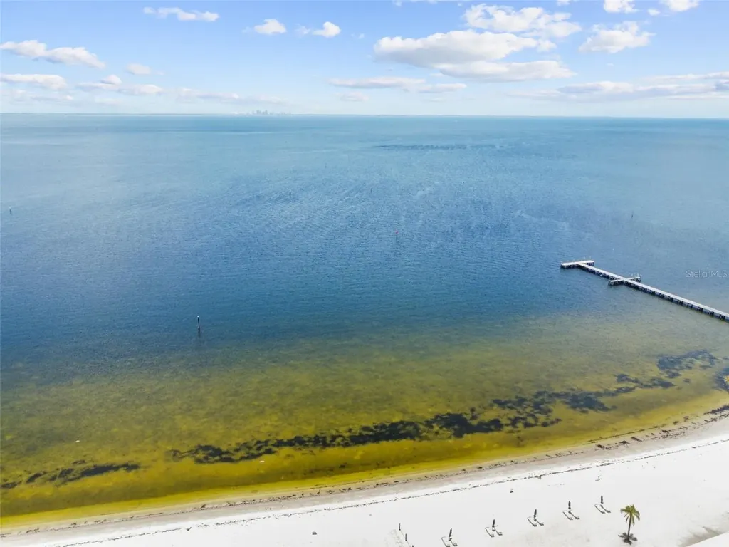 3036 Christophers Watch Lane Ruskin FL 33570