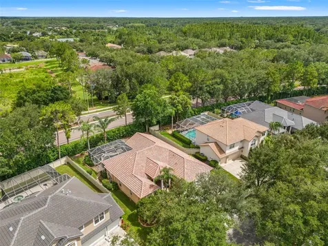 18115 Regents Square Drive Tampa FL 33647