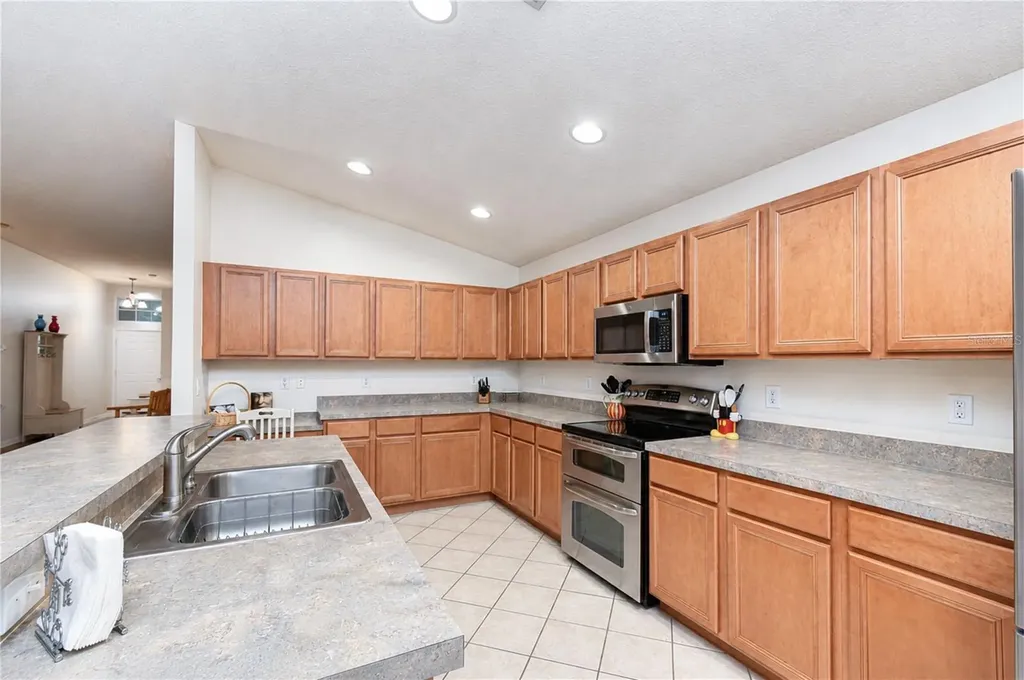 6209 Gannetdale Drive Lithia FL 33547