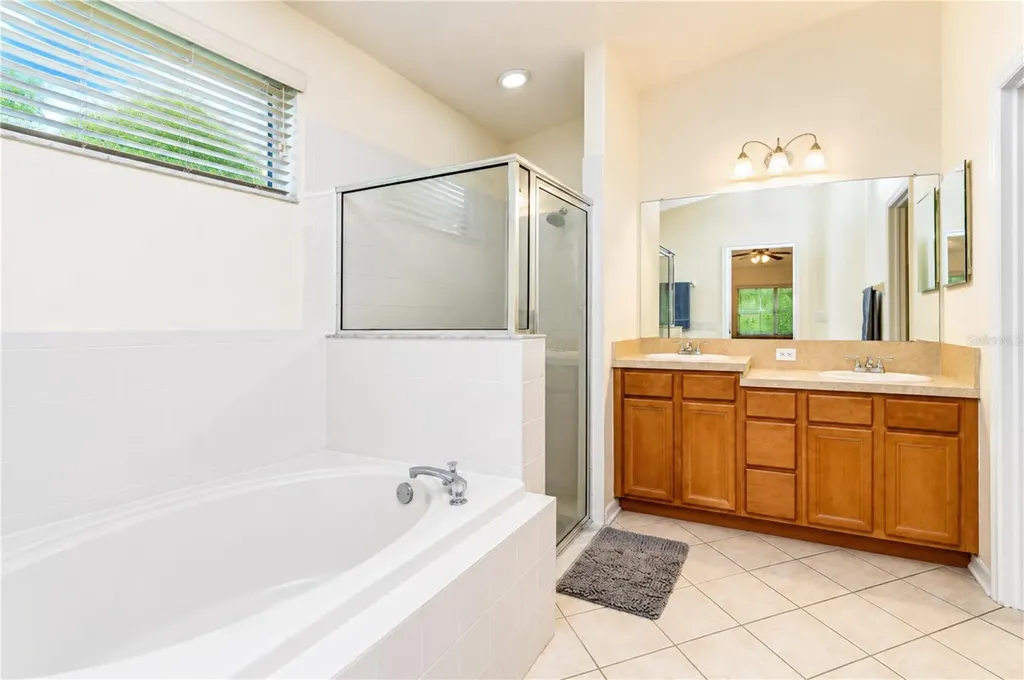 6209 Gannetdale Drive Lithia FL 33547