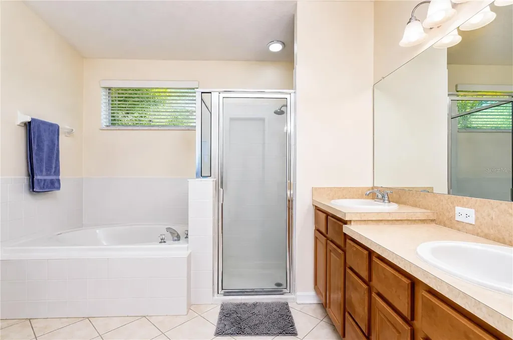 6209 Gannetdale Drive Lithia FL 33547