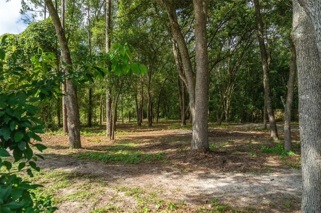 40 Deer Trail Circle Bronson FL 32621