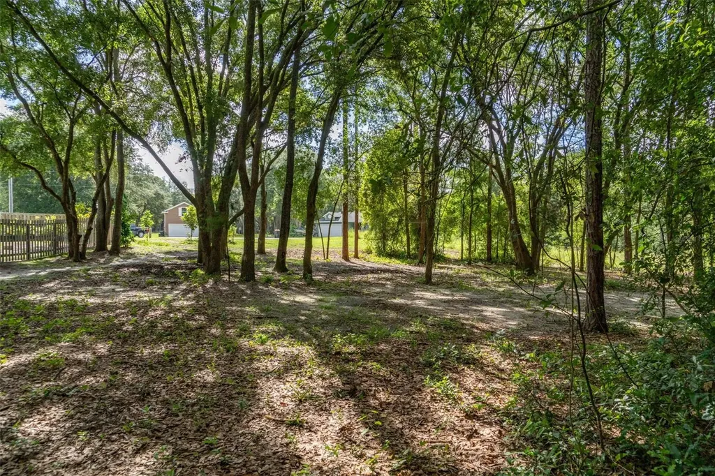 40 Deer Trail Circle Bronson FL 32621