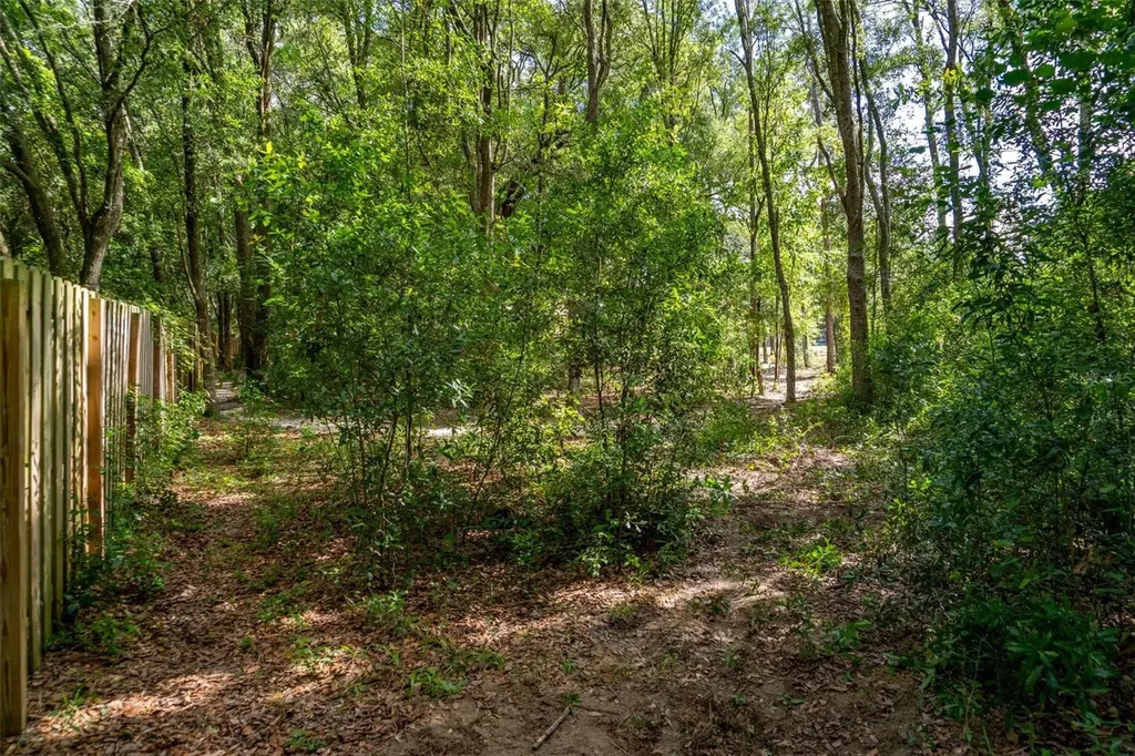40 Deer Trail Circle Bronson FL 32621