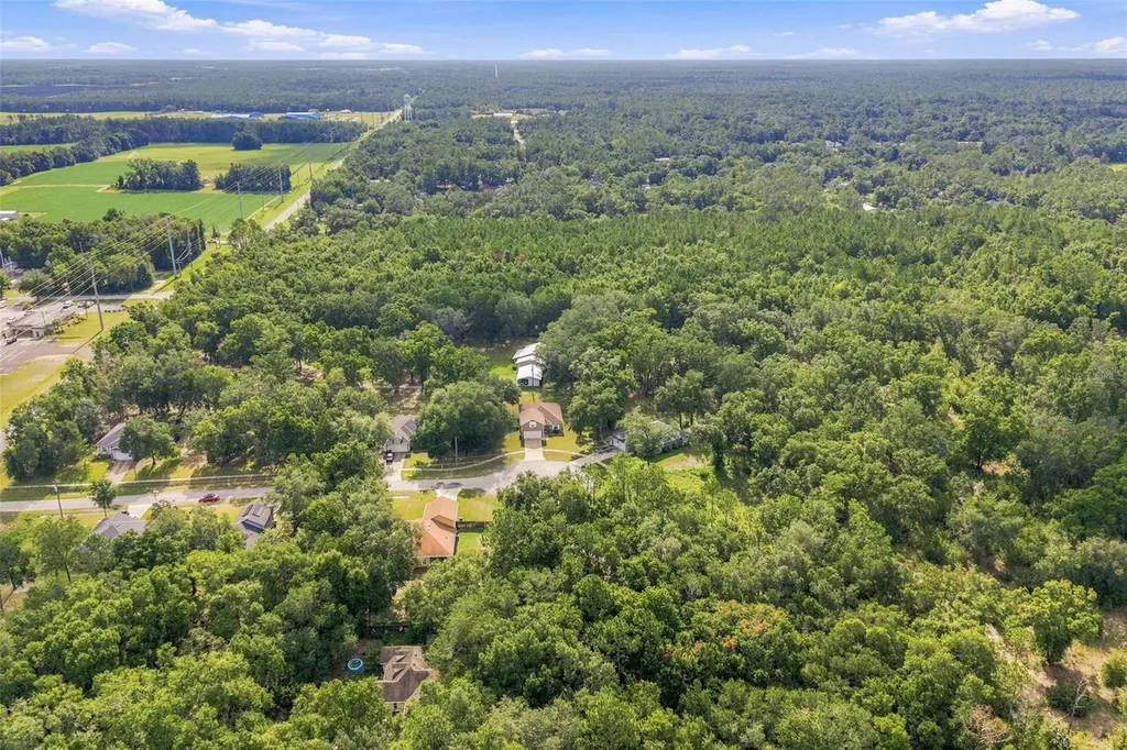 40 Deer Trail Circle Bronson FL 32621