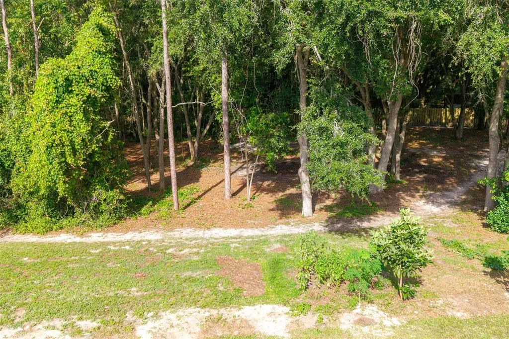40 Deer Trail Circle Bronson FL 32621