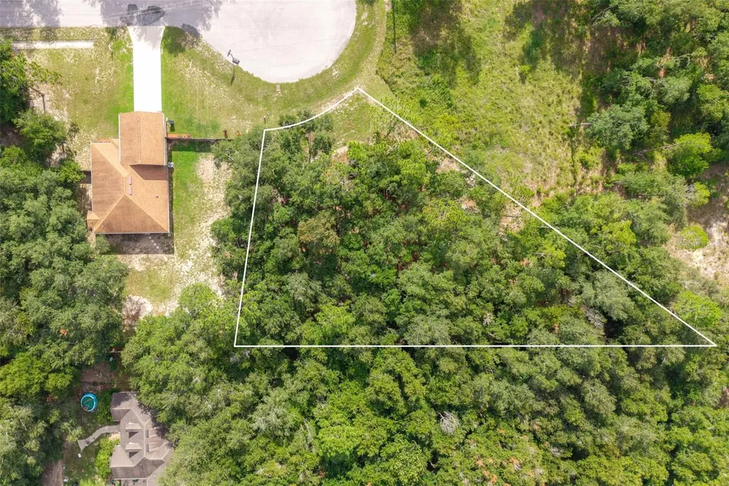 40 Deer Trail Circle Bronson FL 32621