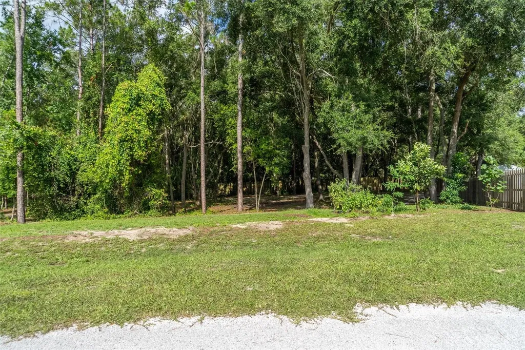 40 Deer Trail Circle Bronson FL 32621