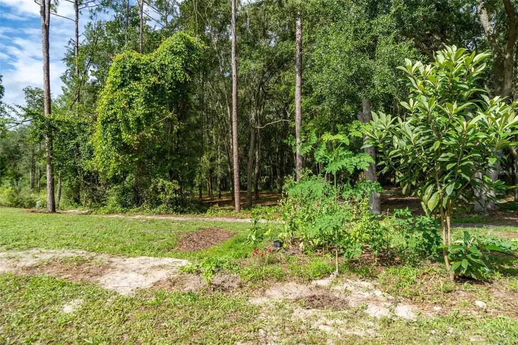 40 Deer Trail Circle Bronson FL 32621