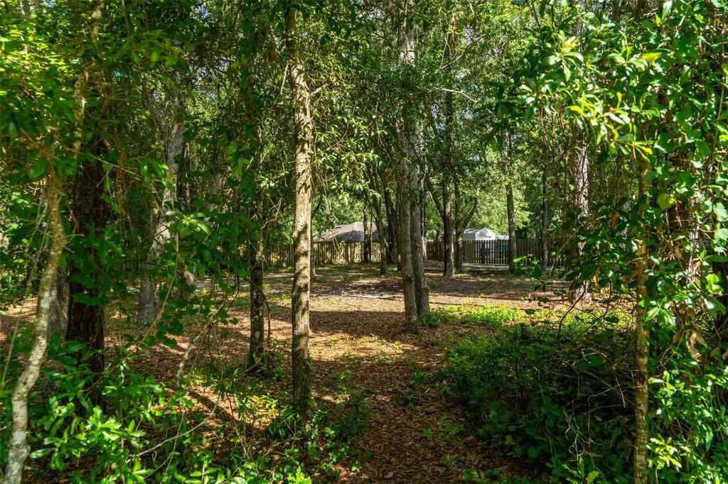 40 Deer Trail Circle Bronson FL 32621
