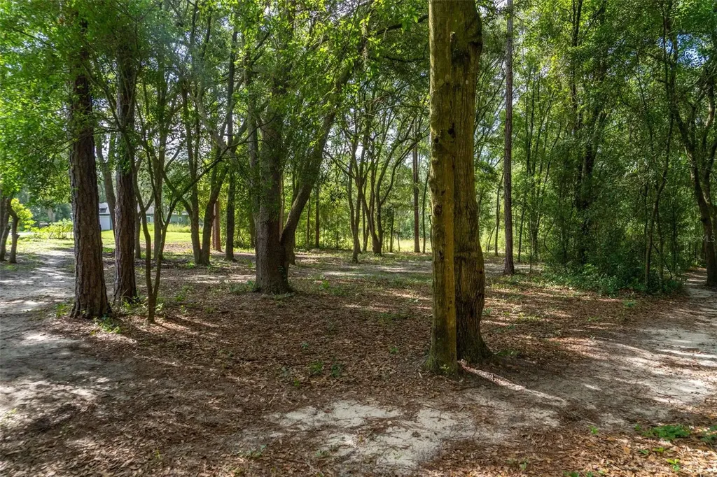 40 Deer Trail Circle Bronson FL 32621