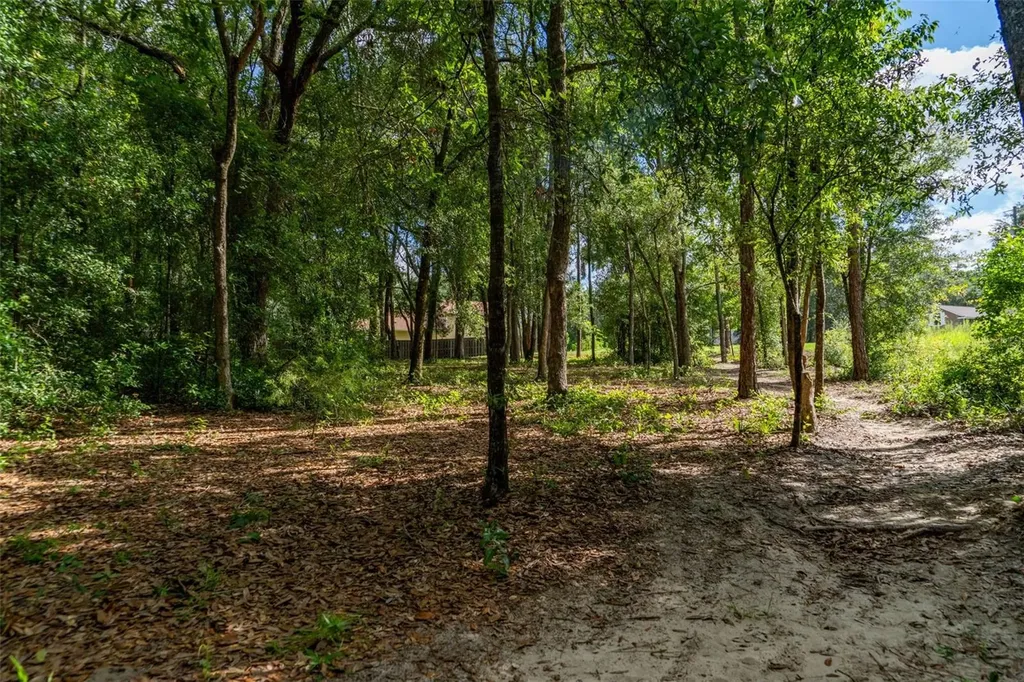 40 Deer Trail Circle Bronson FL 32621
