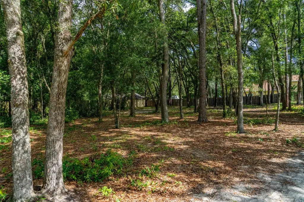40 Deer Trail Circle Bronson FL 32621