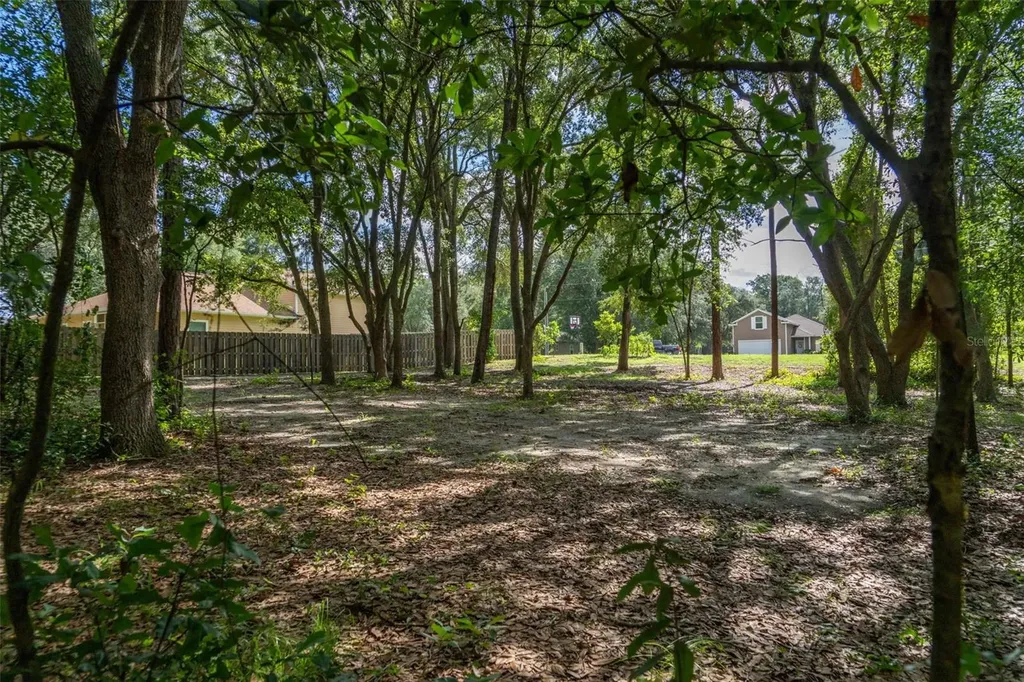 40 Deer Trail Circle Bronson FL 32621