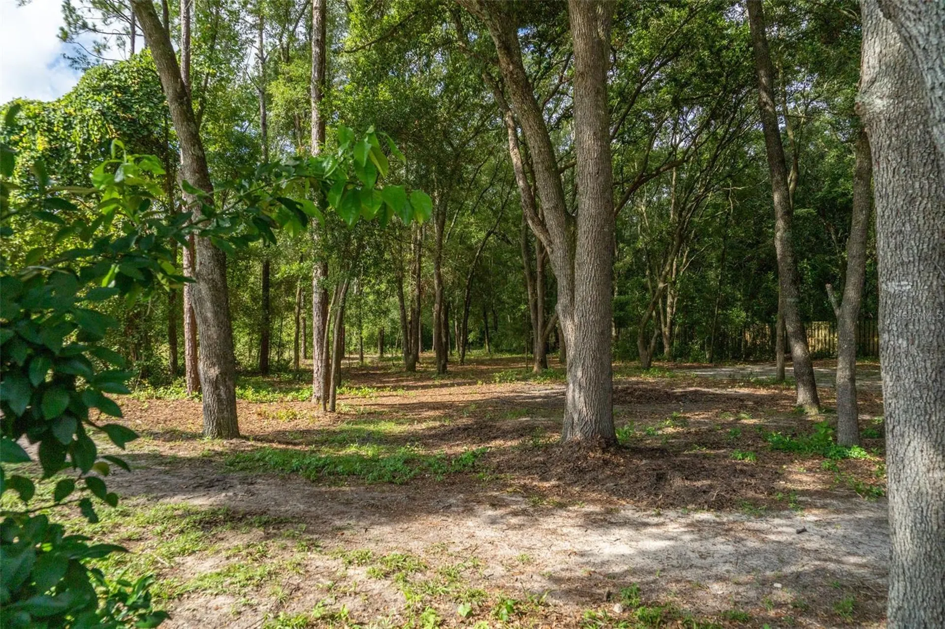 40 Deer Trail Circle Bronson FL 32621