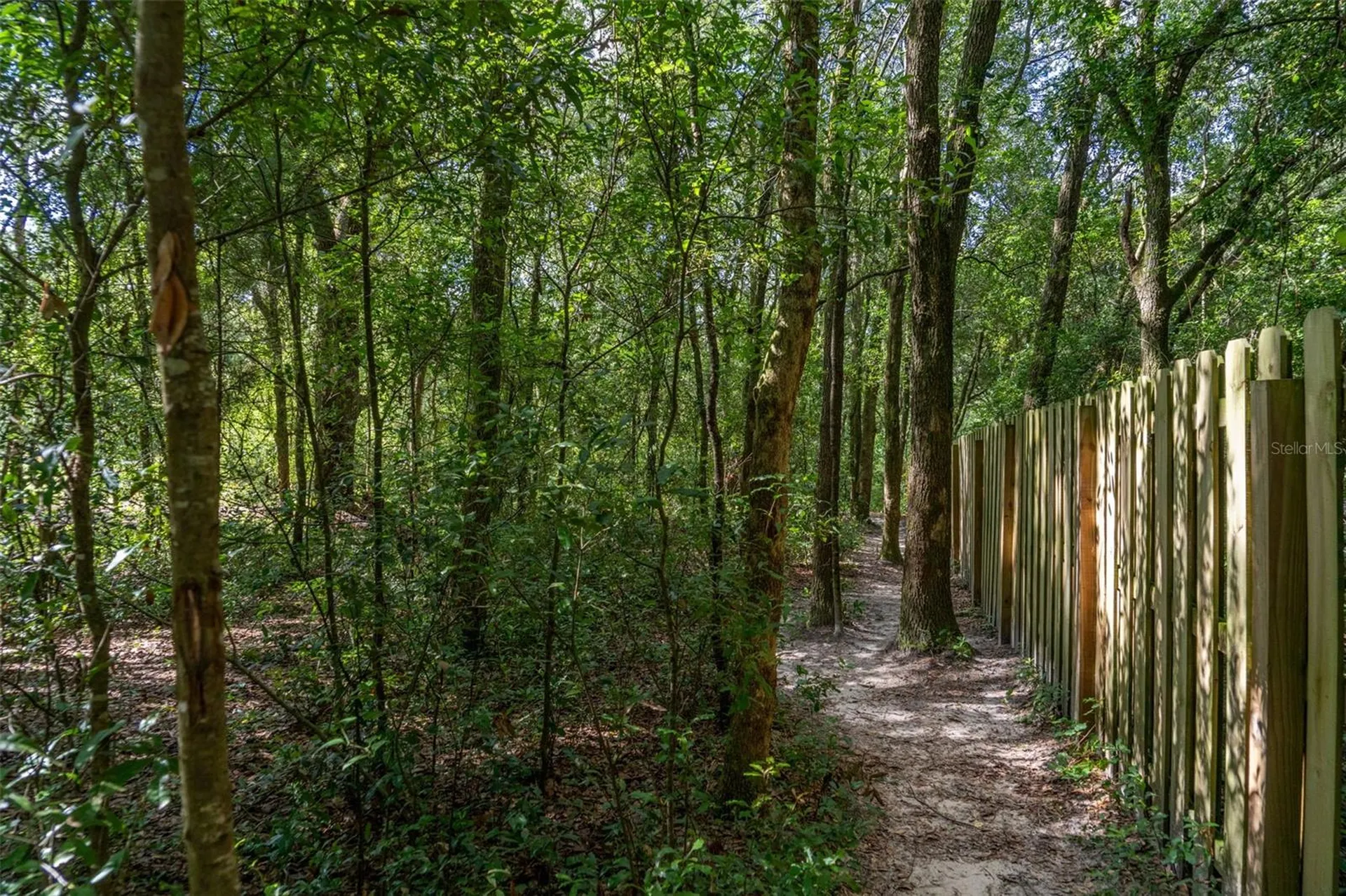 40 Deer Trail Circle Bronson FL 32621