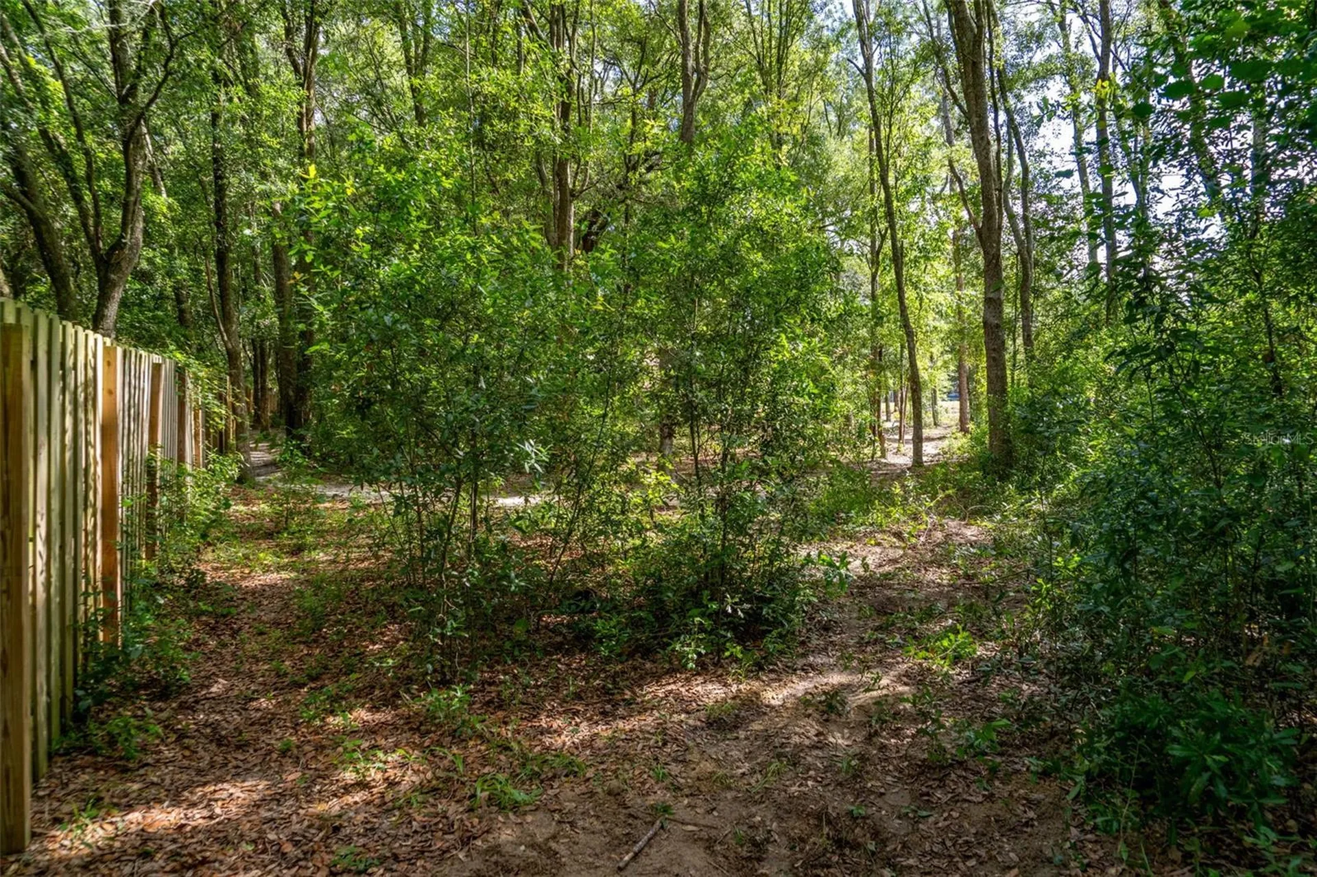 40 Deer Trail Circle Bronson FL 32621
