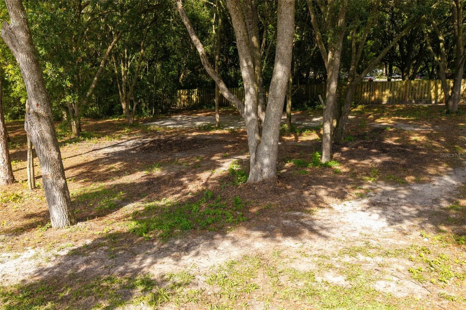 40 Deer Trail Circle Bronson FL 32621