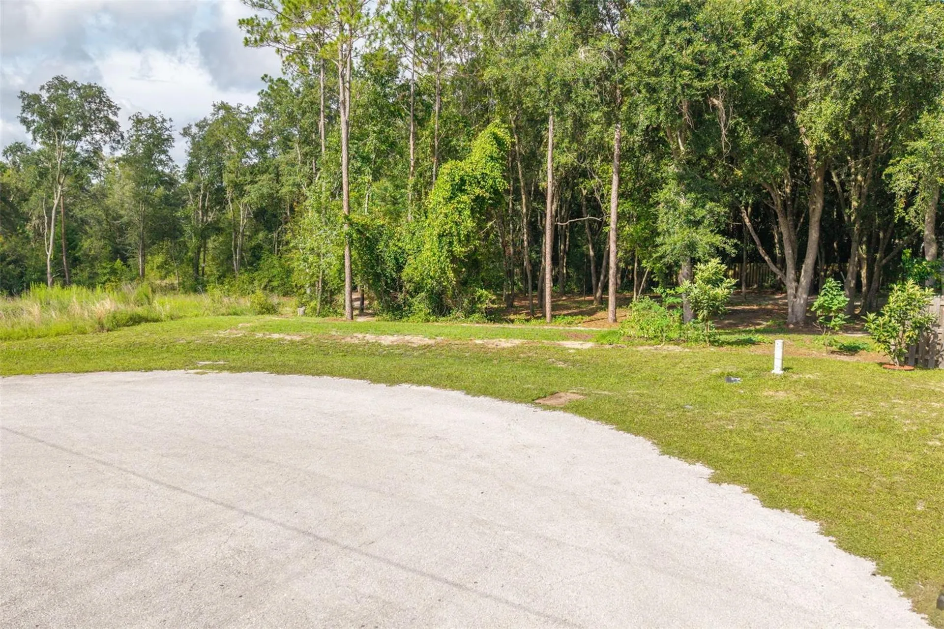 40 Deer Trail Circle Bronson FL 32621