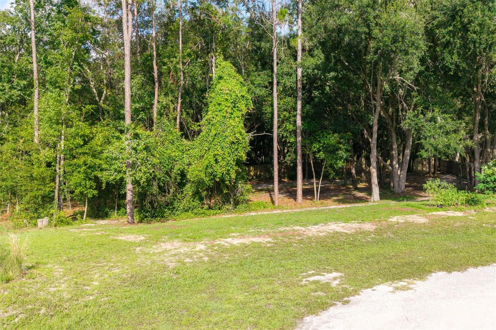 40 Deer Trail Circle Bronson FL 32621