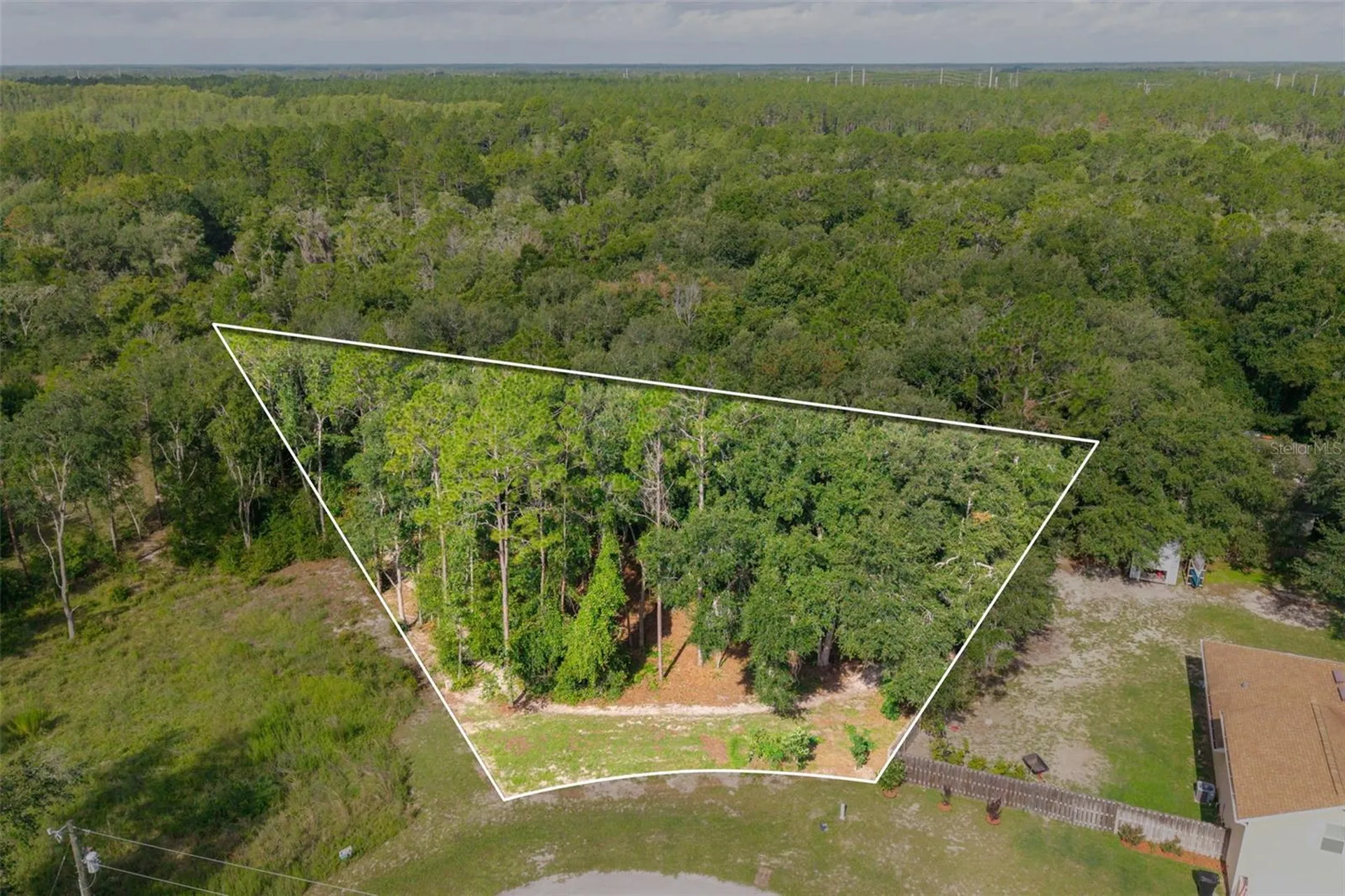 40 Deer Trail Circle Bronson FL 32621