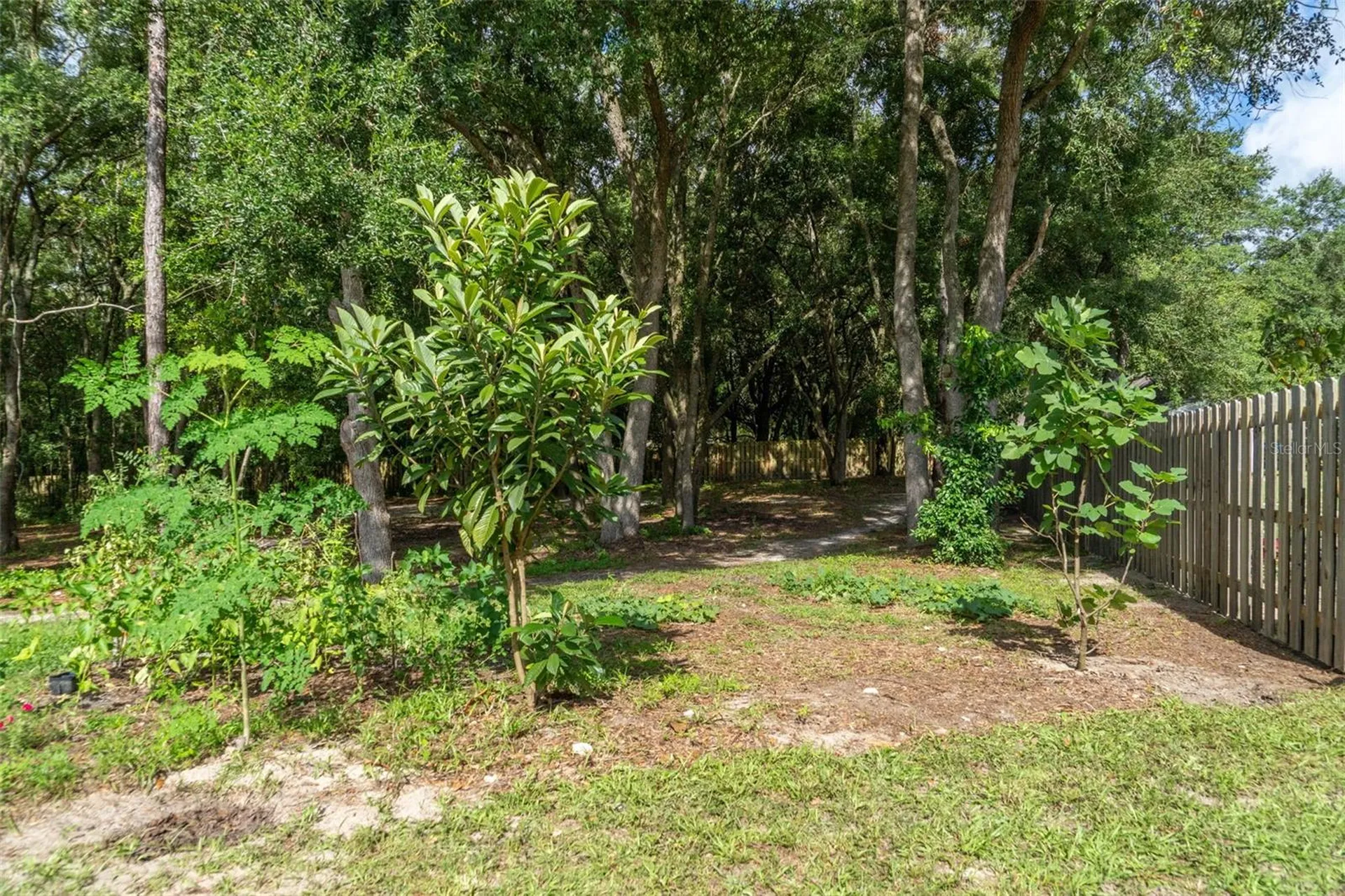 40 Deer Trail Circle Bronson FL 32621