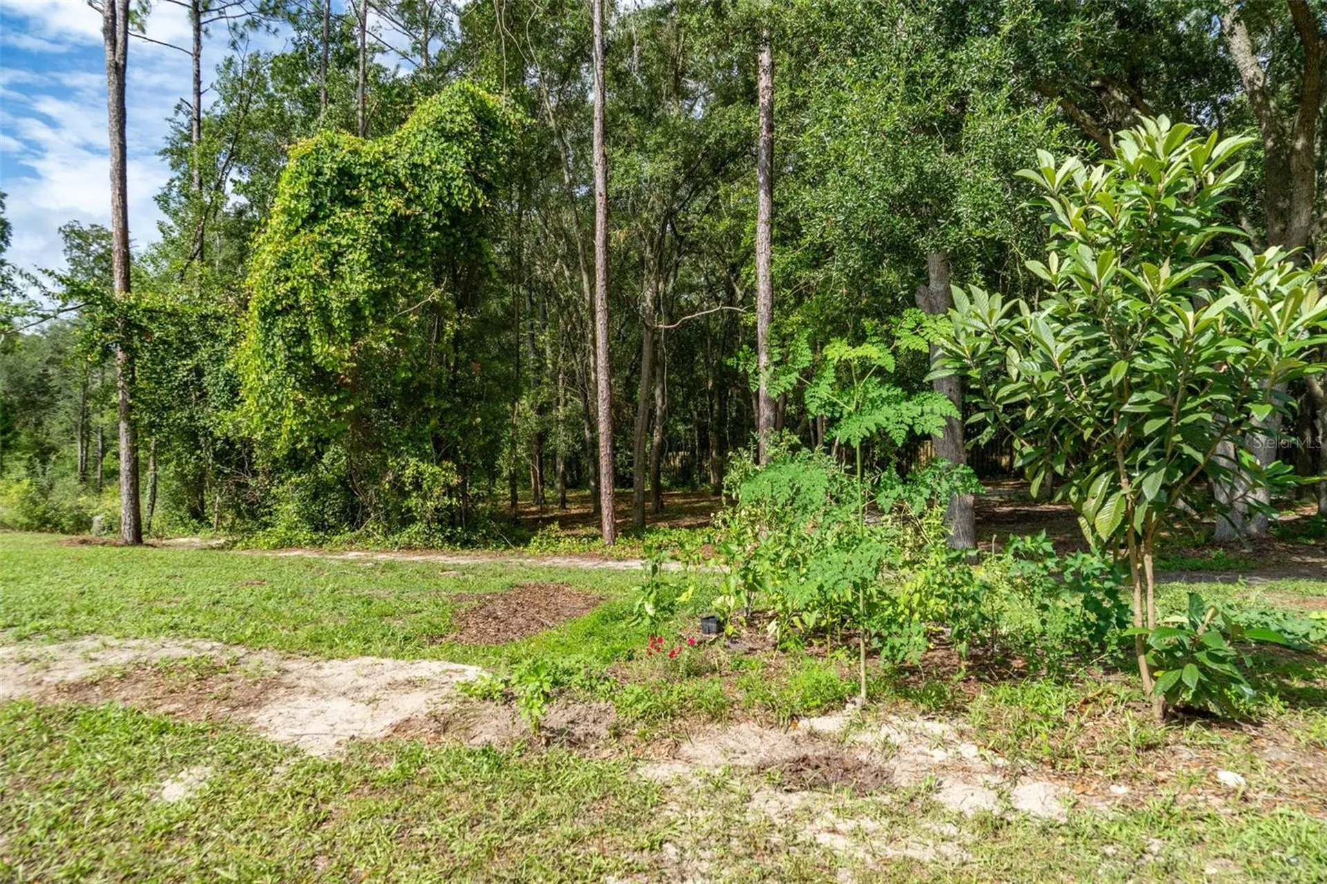 40 Deer Trail Circle Bronson FL 32621