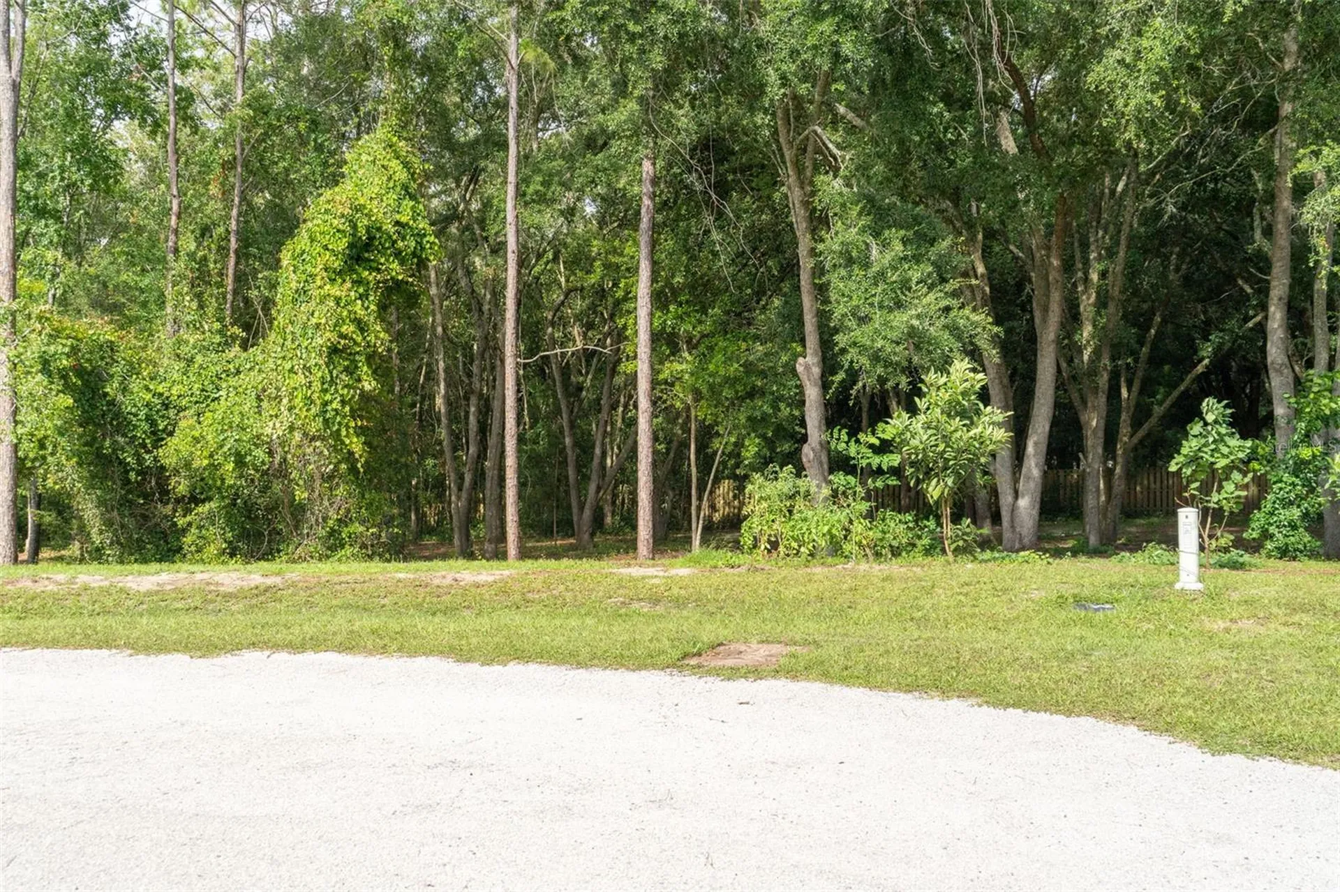 40 Deer Trail Circle Bronson FL 32621