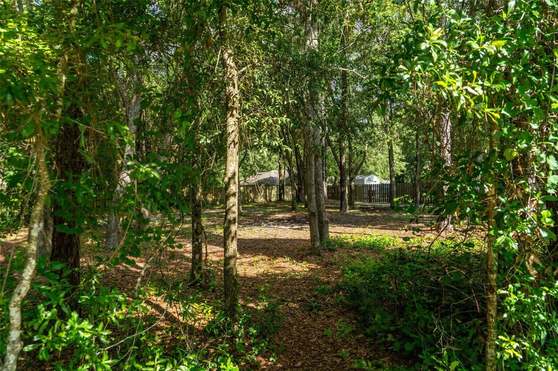 40 Deer Trail Circle Bronson FL 32621